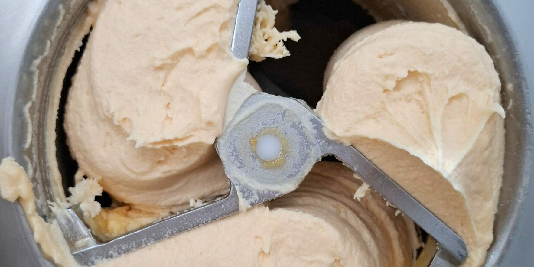 Sorbet plein fruit melon