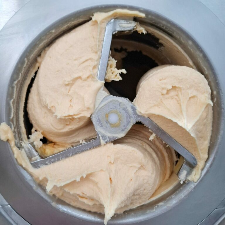 1000001481 Sorbet plein fruit melon