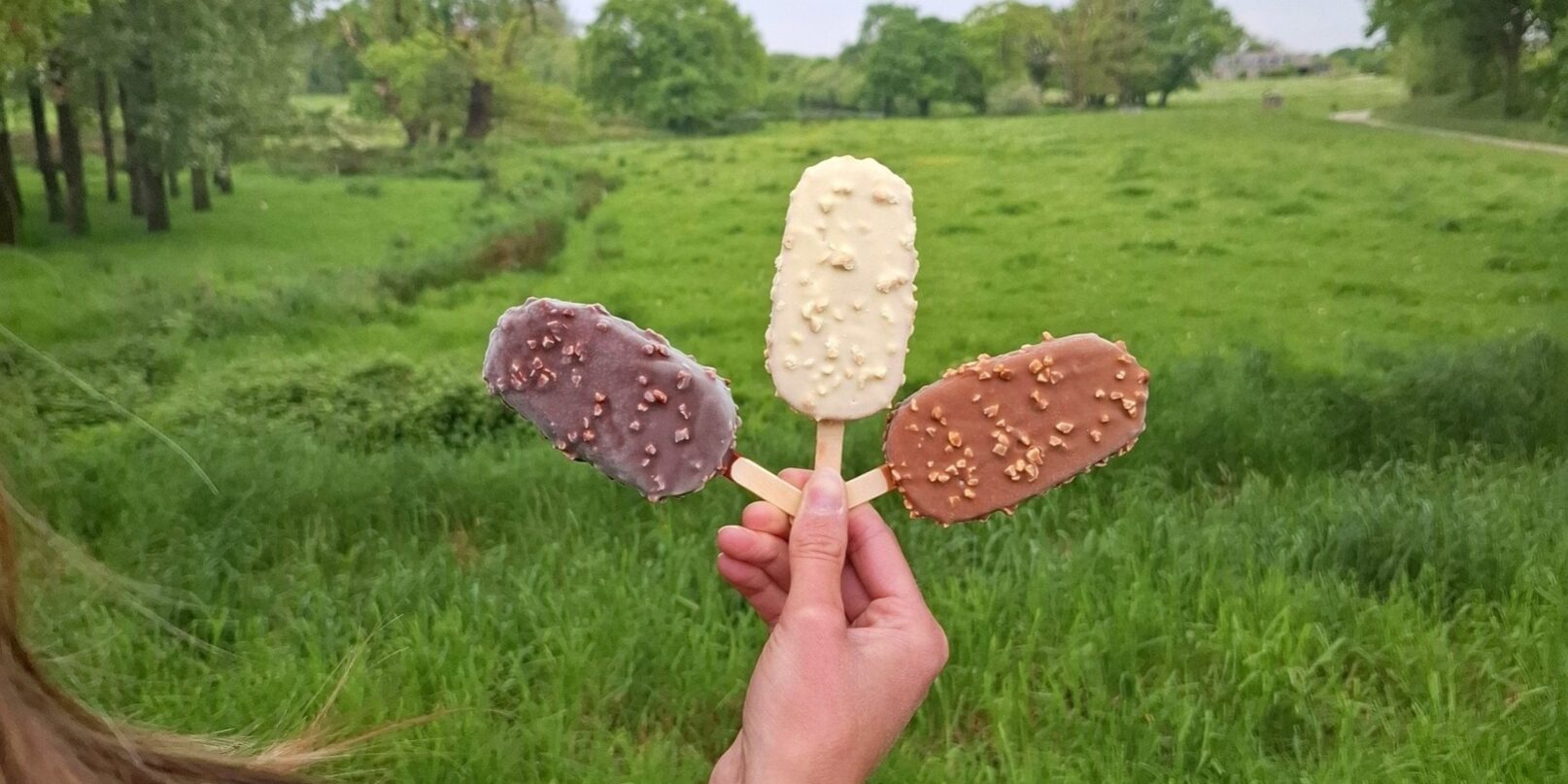 493800577_683109664079596_1588967944775827207_n bâtonnets glacés bio