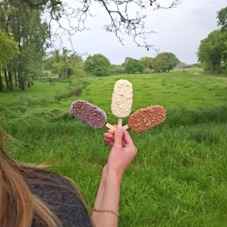 493800577_683109664079596_1588967944775827207_n bâtonnets glacés bio